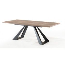 Table en mélamine rectangulaire fixe pieds métal 2m20 - Rox