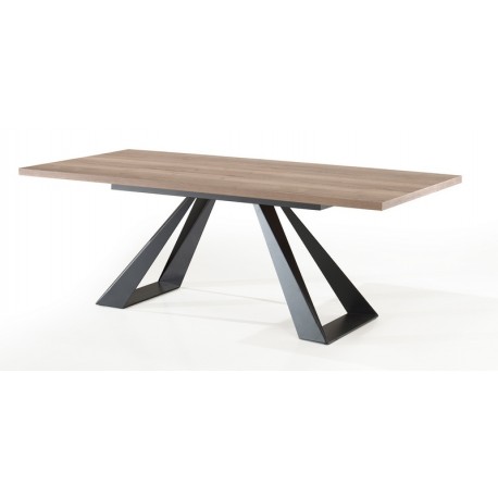 Table rectangulaire fixe pieds métal 2m20 - Cooper