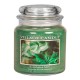 Jarres "Eucalyptus Mint" Dispo en 2 taille - Village candle