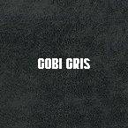 GOBI GRIS